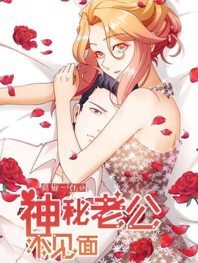 隐婚100分:神秘老公不见面